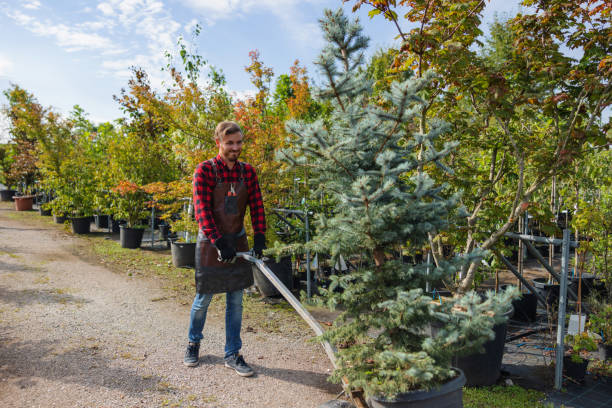 Lawn Watering Services in Gaylord, MN